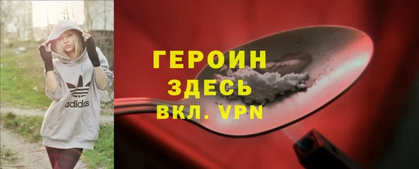хмурый Алексин