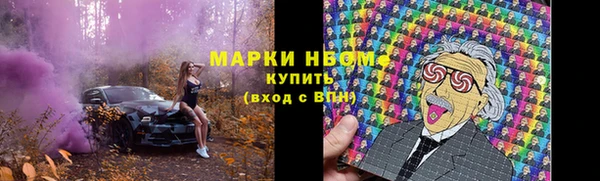 хмурый Алексин