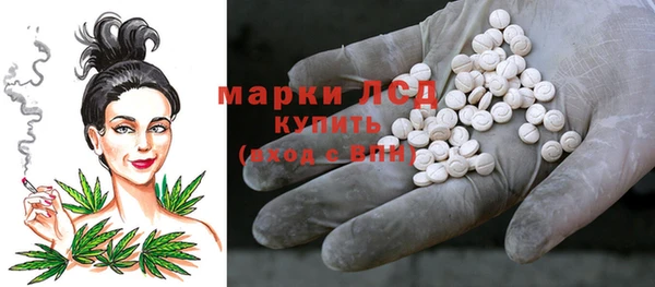 хмурый Алексин