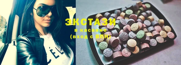 хмурый Алексин
