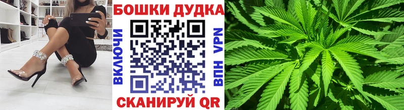 Канабис план  MEGA ONION  Пролетарск 